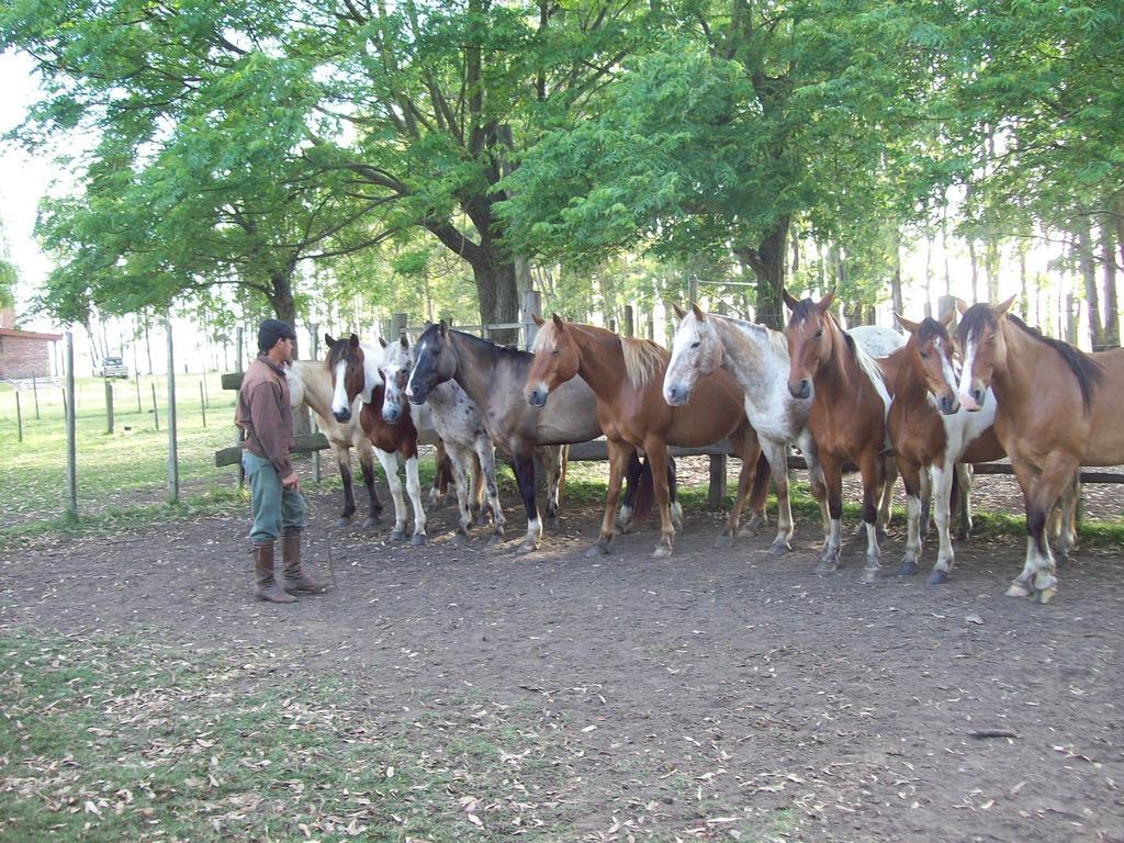 Estancia Turistica La Amorosa Trinidad Phòng bức ảnh